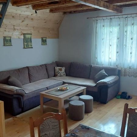 Vila Daniela Zaovine 外观 照片