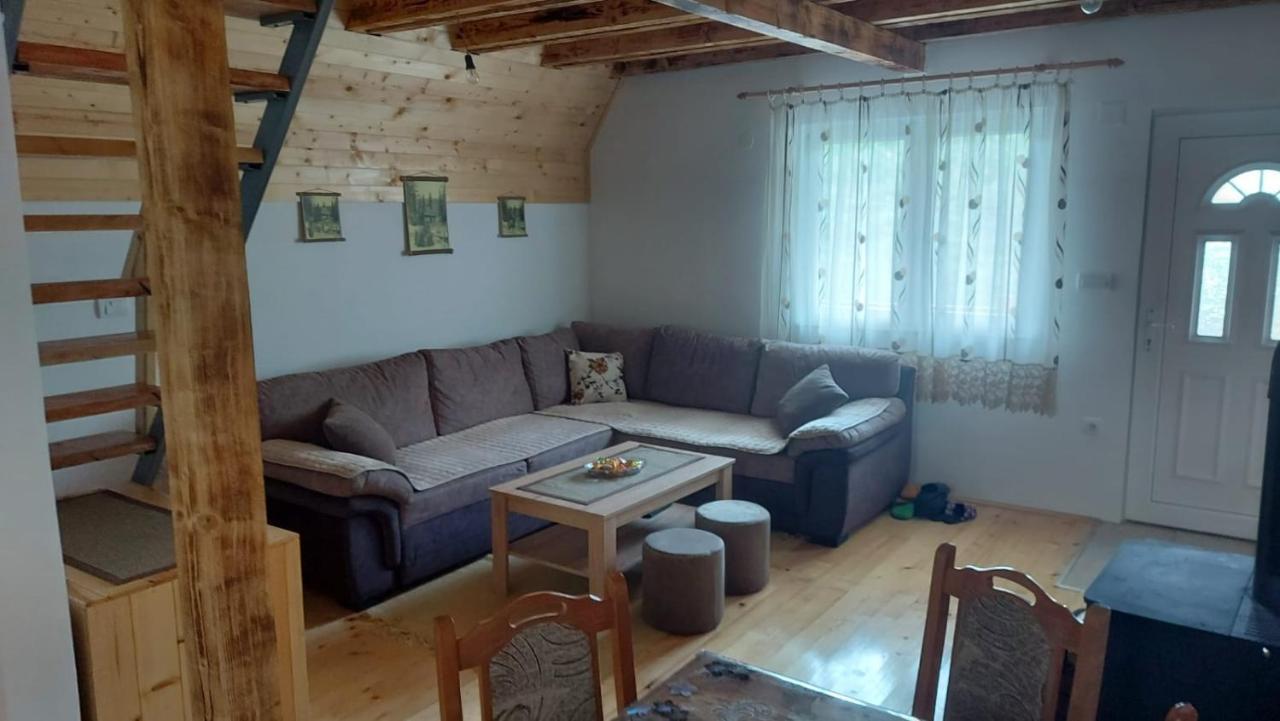 Vila Daniela Zaovine 外观 照片
